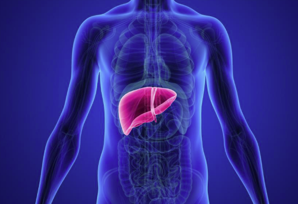 Glutatione: il principale alleato antiossidante per la salute e la rigenerazione del fegato